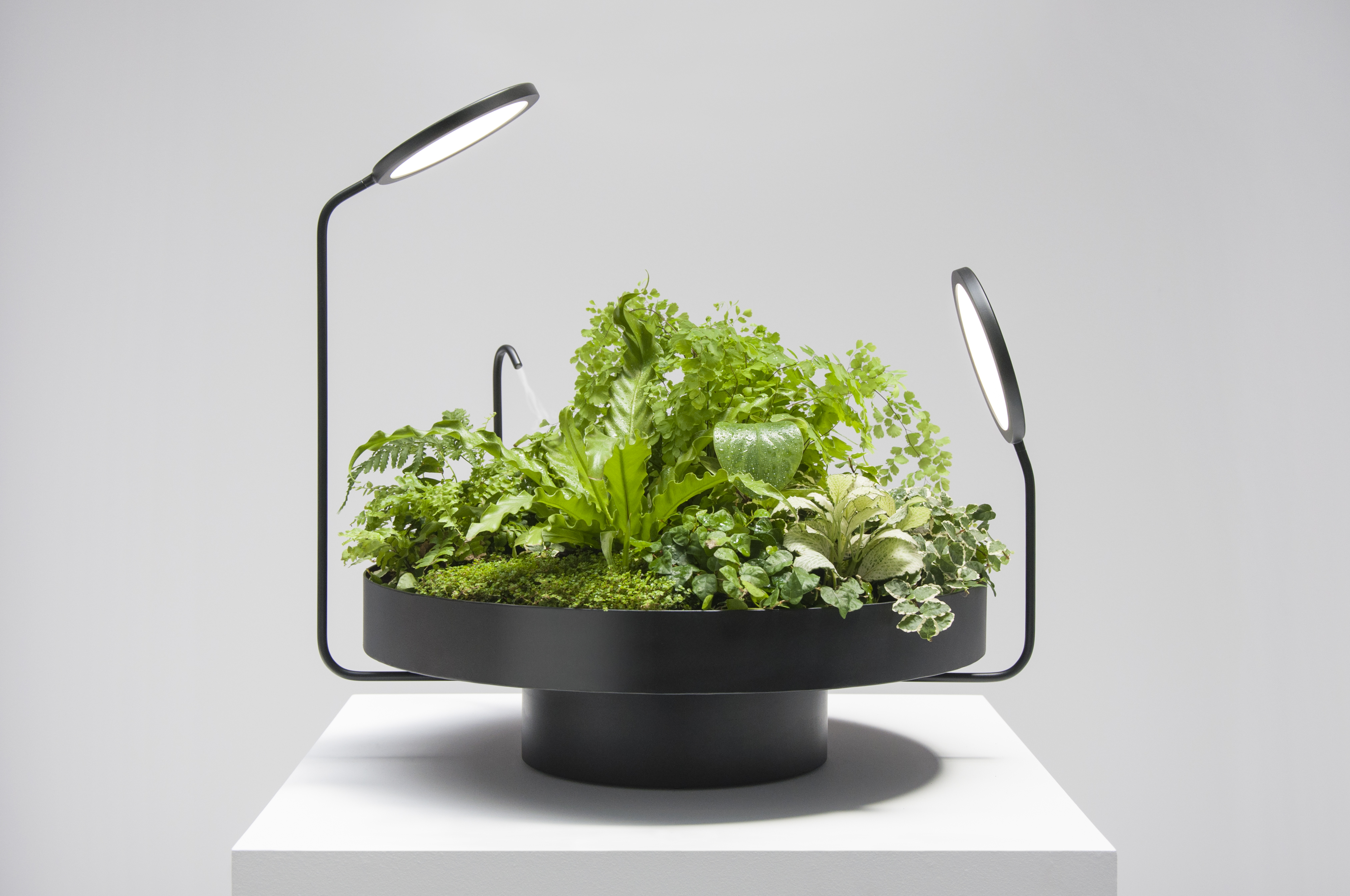 Plant series. Увлажнитель для растений. Увлажнение воздуха растениями. Светильник для растений. Кашпо с подсветкой для цветов.